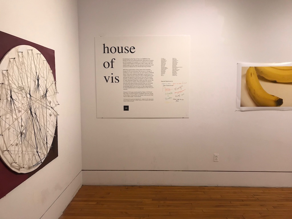 house of vis